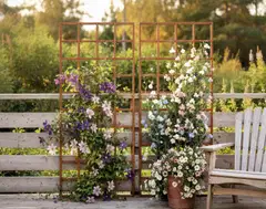 Köynnösritilä, luonnon ruskea, 80x180cm - 4