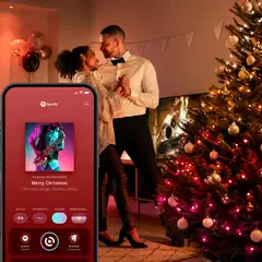 Philips Hue Festavia valosarja 500 LEDiä sisä- ja ulkotiloihin - 4