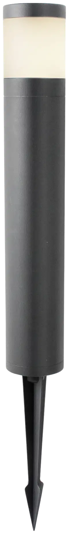 LightsOn pollari Polly - 2