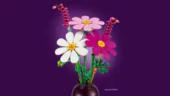 LEGO® Botanicals 11514 Kosmoskukat - 6