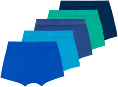 House lasten bokserit 231H322502 5-pack - Mulitcolor - 2