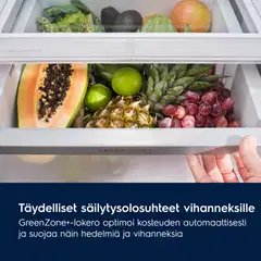 Electrolux jääkaappi-pakastin ENT8MD32W - 4