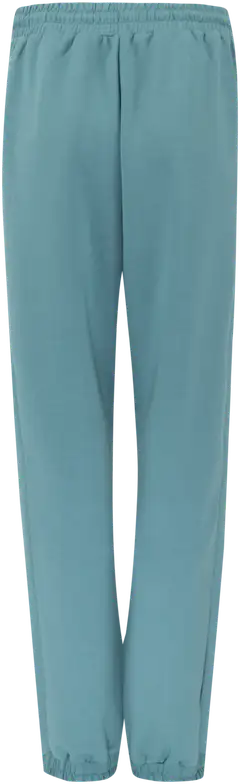 Danskin naisten scuba-joggersit DCS2309A - Aqua 17-4911TCX - 3