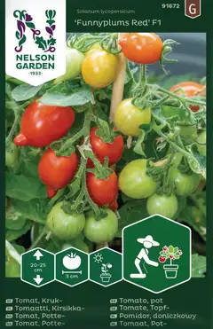 Nelson Garden tomaatti, Pensas-, Funnyplums Red F1 - 1