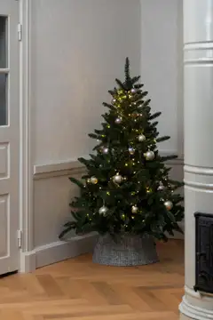 Winteria Joulukuusi Grande 155 cm - 11