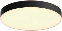 Philips Hue Enrave -kattovalaisin 48W 2200-6500K 6100LM XL musta - 1