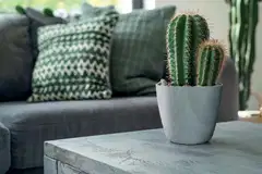 Ruukku Mate Beton Effect - 2