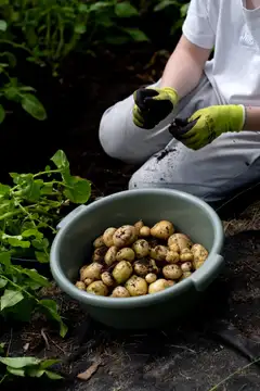 Orthex pesuvati 9 L - 5