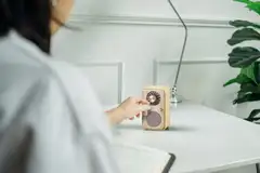 Sangean WR-9 Bluetooth pöytäradio, vaalea tammi - 9