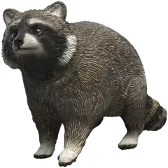 Schleich Pesukarhu - 1