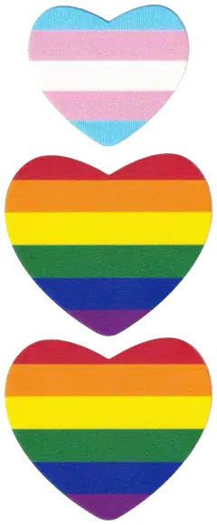 FabPatch vaatelaastari Stretch Pride - 2