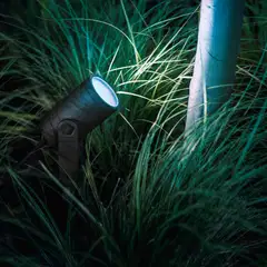 Philips Hue Lily -lisäkohdevalaisin 8W 2000-6500K 590LM musta säädettävä - 9