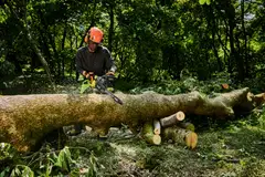 Ryobi 36V akkuketjusaha 40 cm, optimoitu EDGE-akuille RY36CSX40D-0 - 7