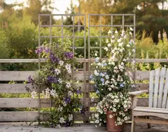 Köynnösritilä, vaalean harmaa, 80x180cm - 5