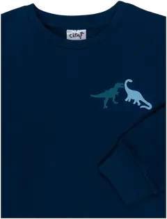 Ciraf lasten collegepaita dinot 25PC260217 - Titan 19-4128 Tcx - 3