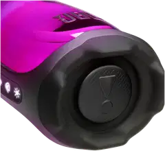JBL Bluetooth kaiutin Pulse 6, musta - 6
