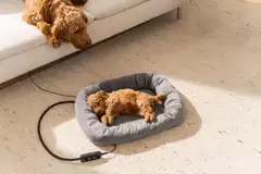 Beurer PP250 Kira lämmitettävä lemmikin sänky - 12