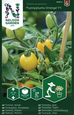 Nelson Garden tomaatti, Pensas-, Funnyplums Orange F1 - 1