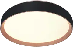 FocusLight Primus kattovalaisin halk:39cm, 36W, Musta, sis.kaukosäädin, koukkukiinnitys ja sisältää pistotulpan, IP20 - 1