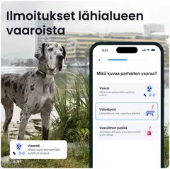 Tractive DOG 6 XL GPS -koiranpanta - 4