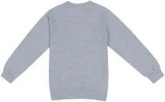 LEGO lasten collegepaita Ninjago DW01 - Grey melange - 2