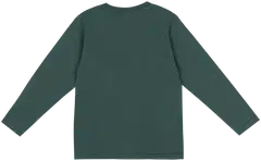 Ciraf lasten trikoopusero plane 25pc261105 - 19-5920tcx pineneedle - 2