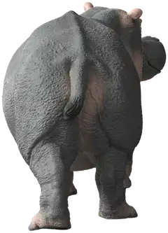 Schleich Virtahepo - 2