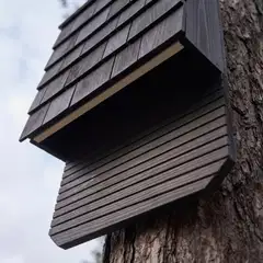 WildYard Big Bat Barn lepakkopönttö, 3 kammiota, setripuu, musta - 6