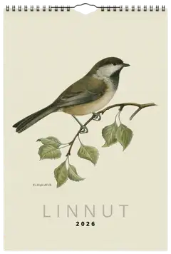 Seinäkalenteri ART COLLECTION Linnut von Wright - 1