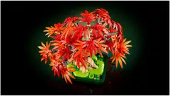 LEGO® Botanicals 10348 Punalehtinen japaninvaahtera-bonsaipuu - 7