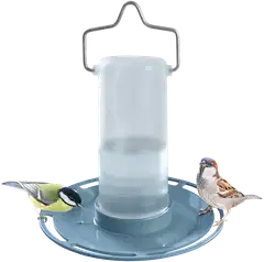 Swissinno Lintujen juottolaite SMART BIRDS Zug vaaleansininen - 1