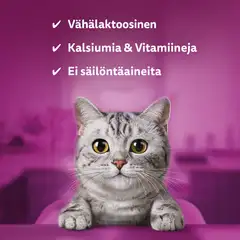 Whiskas Kissanmaito 3x200ml - 3