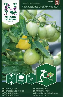 Nelson Garden tomaatti, Pensas-, Funnyplums Yellow F1 - 1