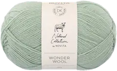 Novita Lanka Wonder Wool DK 100g 308 - 1