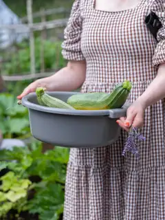 Orthex pesuvati 9 L - 10