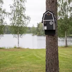 WildYard Big Bat Barn Junior lepakkopönttö, 2 kammiota, setripuu, musta - 3