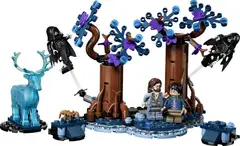 LEGO® Harry Potter TM 76475 Kielletty metsä: Odotum suojelius - 2