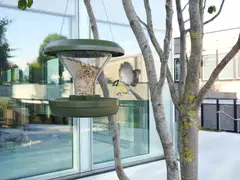 Swissinno Lintujen ruokinta-astia DAVOS SMART BIRDS tummanvihreä - 4
