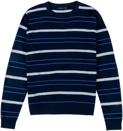 House miesten neulepusero CYCLO® 195H282507 - Dark blue base color - 1
