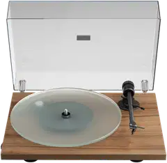 Pro-Ject T1 EVO Phono pähkinä - 3