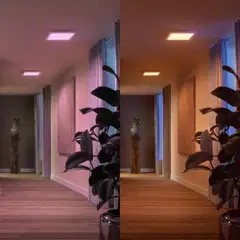Philips Hue Surimu -paneelivalo 25W 2000-6500K 1760K pieni - 8