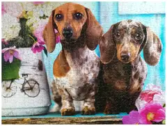 Tactic Palapeli Puzzle Lovers Dashing Daschunds 1000 palaa - 2