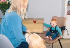 Dooky Matkasyöttötuioli - 10