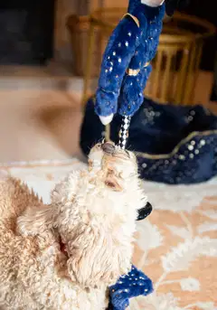 Rosewood koiranlelu Nermal Nutcracker - 7
