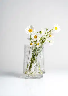 Muurla kynttilälyhty/maljakko Muumi Metsässä 20cm - 6