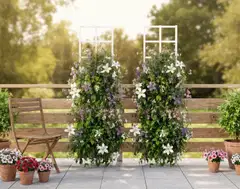 Köynnösritilä, valkoinen, 40x180cm - 4