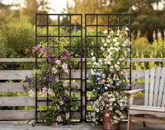 Köynnösritilä, grafiitin harmaa, 80x180cm - 4