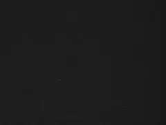 House naisten lyhythihainen t-paita Aelii - Jet Black - 5