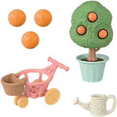 Sitruslintuperhe - 5