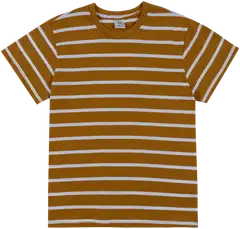 House lasten t-paita 23PH172617 - Wood thrush - 1